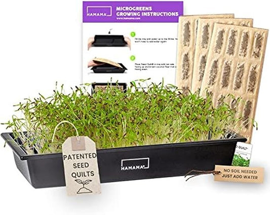 HAMAMA Home Microgreens Growing Kit - Cilantro Sprouts Growing Kit, Sprouting Kit - Grow Your Own Micro Greens Indoor, Micro Greens Starter Kit with Microgreens Tray, Microgreen Seeds【Cilantro Seeds】