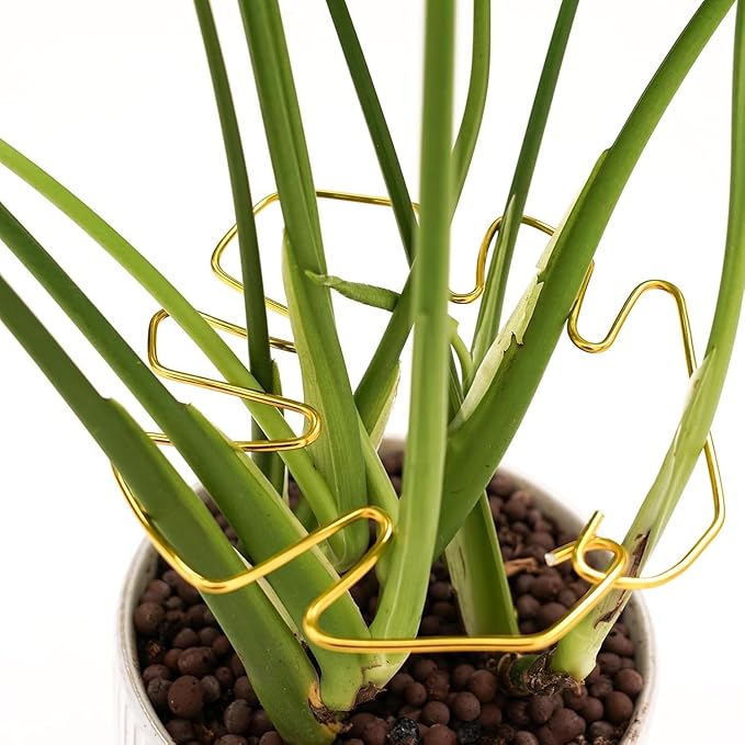 5 Pcs Plant Stem Support, Iron Monstera Plant Support, Durable Hook Stem Supports for Healthy Growth, Bamboo Clamp Set for Leaf Stabilization and Support, Ideal Present for Plant Lovers (6.25IN*7IN)