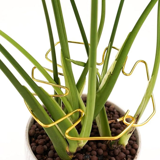 5 Pcs Plant Stem Support, Iron Monstera Plant Support, Durable Hook Stem Supports for Healthy Growth, Bamboo Clamp Set for Leaf Stabilization and Support, Ideal Present for Plant Lovers (6.25IN*7IN)