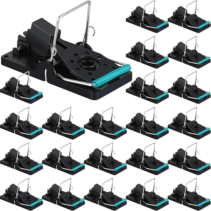 Qualirey 24 Pcs Plastic Mouse Rat Traps House Indoor Quick Effective Safe for Warehouse Garden Kitchen 3.86 x 1.81 x 2.17 Inch (Black,Blue)