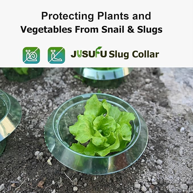6 Pack Slug Collars for Plants,Medium-Sized Snail Protection Ring, Provides Effective Protection Against Snails for Your Salad Plants and Others Plants.