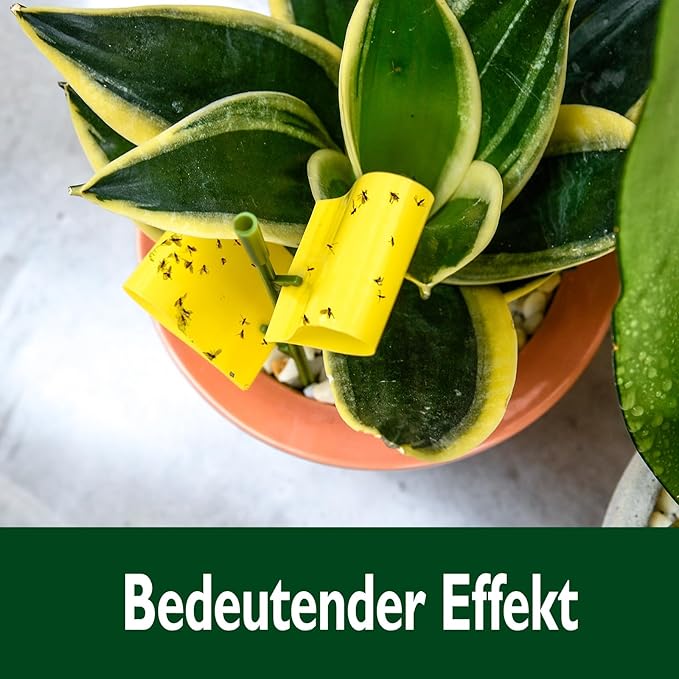 Garsum 42 Traps Sticky Houseplant Traps Gnat Yellow Insect Trap Indoor Fruit Fly Stakes Trap