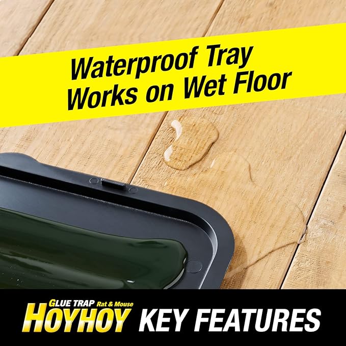 HOY HOY Regular Size Rat & Mouse Indoor/Outdoor Glue Trap (1 Pack)