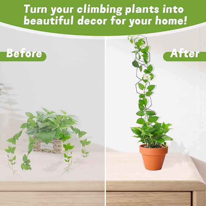 Chain Trellis for Climbing Plants, Hexagonal Metal Plant Support, DIY Installation, Indoor and Outdoor Use for Monstera and Ivy