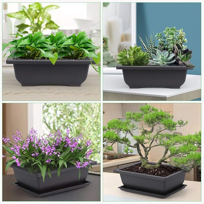 GROWNEER Bonsai Training Pots 3 Packs 9Inch with Drainage Humidity Trays, Bonsai Tree Starter Kits with 1 Repotting Mat, Growing Planter Set for Garden, Yard, Balcony, Office, Living Room