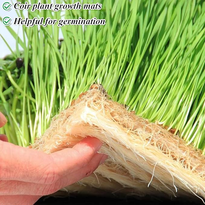 12 Set Microgreens Growing Mat with Tray 10 x 10 inch Square Growing Trays for Micro Greens Seeds Sprout, Microgreen Growing Kit Herb Plant Starting Kit with Jute Pads for Indoor