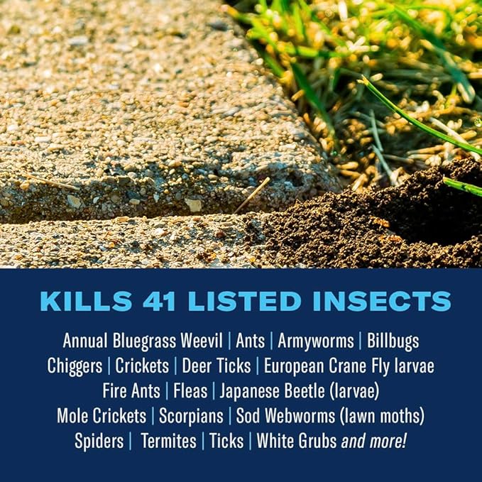 BioAdvanced Complete Brand Insect Killer for Soil and Turf, Granules, 10 lb, Outdoor Ant Killer