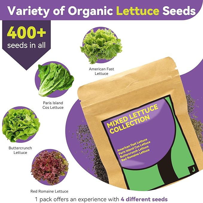 Red Romaine Lettuce Seed Pods for AeroGarden, Ahopegarden, iDOO Hydroponics Growing System Indoor, 400+ Seeds(12-Pods)