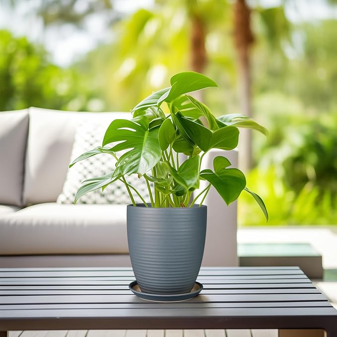 8 Inch Ceramic Plant Pot Large Planter Pot for Plants Indoor Outdoor Glaze Flower Pot with Drainage Hole and Saucer Gray