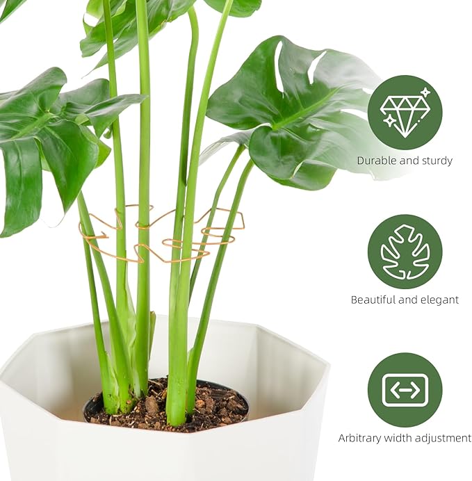 6PCS Iron Monstera Plant Support, Uniquely Designed Indoor Plant Accessories, Stable Plant Support Stakes for Indoor Plant, Turtle Shell Bamboo Clamp Set for Thriving Growth