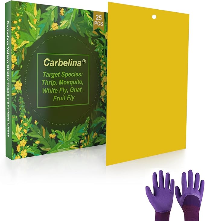 Plant Fly Sticky Trap Sticks, Sticky Gnat Traps for Indoor Plants, with Kids Gardening Gloves, 25PCS, Non-Toxic, Odorless, Harmless to Vegetables, Fruits, Plants