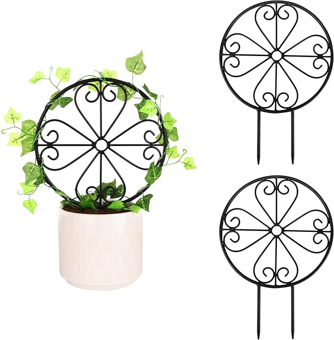 2 Pcs 14in Indoor Metal Garden Circle Plant Trellis for Houseplant Climbing Pot Plants, Black (Style D)