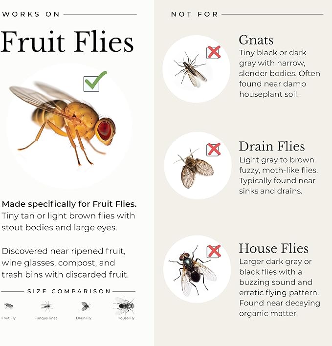 Wondercide - Fruit Fly Traps for Indoors - Fruit Fly Killer - Pet and People Safe - Made in USA & Plant Based - 5.4 oz - 2 Pack
