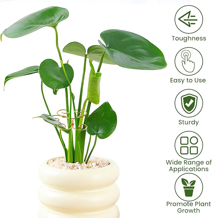 5PCS Iron Monstera Plant Support, Plant Stem Support, Turtle Shell Bamboo Clamp Set, Stable Plant Support Stakes for Indoor Plant, Ideal Present for Plant Lovers (5 Pcs-4.1INX4.1IN)