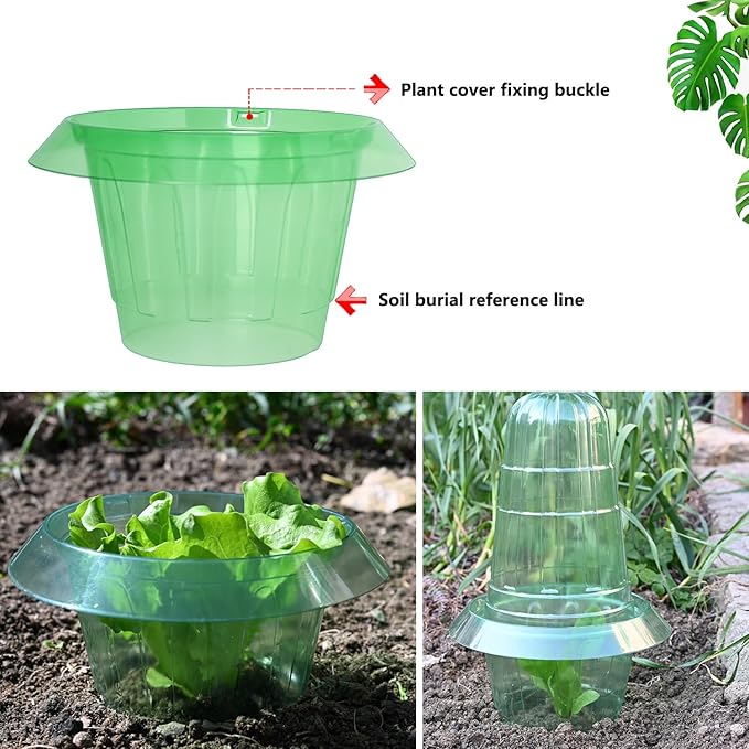 6 Pack Slug Collars for Plants,Medium-Sized Snail Protection Ring, Provides Effective Protection Against Snails for Your Salad Plants and Others Plants.