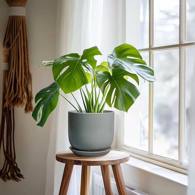 Indoor Planter 7 Inch - Round Ceramic Plant Pot for Cactus Orchid Plants with Drainage Hole and Saucer, Home Outdoor Patio Office Decor, Gray