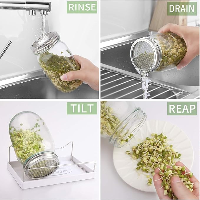 Sprouting Jar Kit-2 Wide Mouth Quart Mason Jars with 316 Stainless Steel Screen Sprout Lids, Drip Tray, Stand | Seed Sprouter Set for Growing Broccoli, Alfalfa, Mung Bean