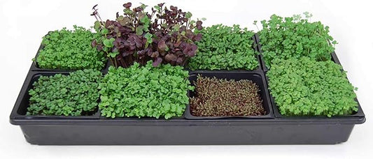 Hydroponic Sectional Microgreens Growing Kit - Grow Micro Greens & Herbs Indoor Gardening: All Supplies - Seeds, Trays, Instructions, Etc.