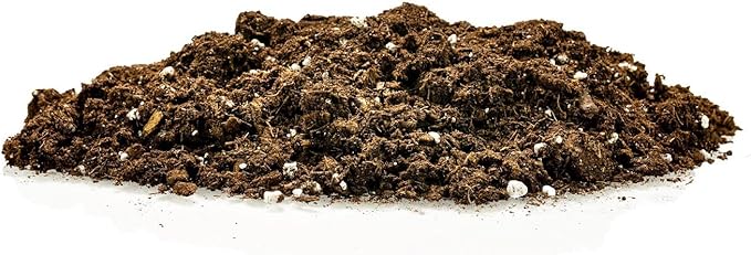 Money Tree Potting Soil Mix for Planting or Repotting Guiana Chestnut, Soil Blended to Properly Grow Money Tree Plants - (1 Quart Bag)
