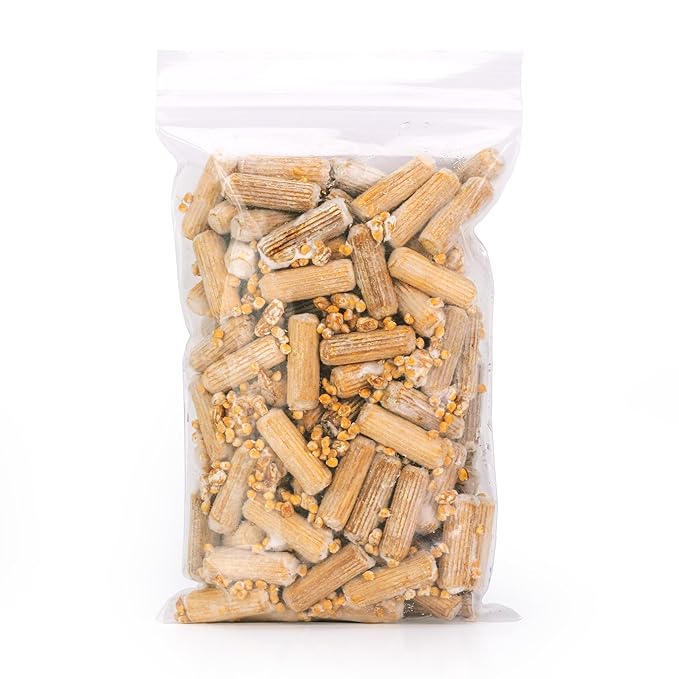 North Spore Organic Chestnut (100 ct) Mushroom Plugs for Logs | Premium Quality Mushroom Plug Spawn | Handmade in Maine, USA | Grow Gourmet Mushrooms Outdoors on Logs | Pholiota adiposa