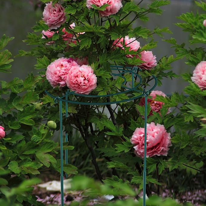 2Set Metal Peony Grid Cages, 30"H X 14"D Large Flower Support Cages Grow Through Hoop Ring Peony Stakes Garden Plant Support Rings Heavy Duty Plant Braces Peonies Structure for Outdoor Plants Blossoms