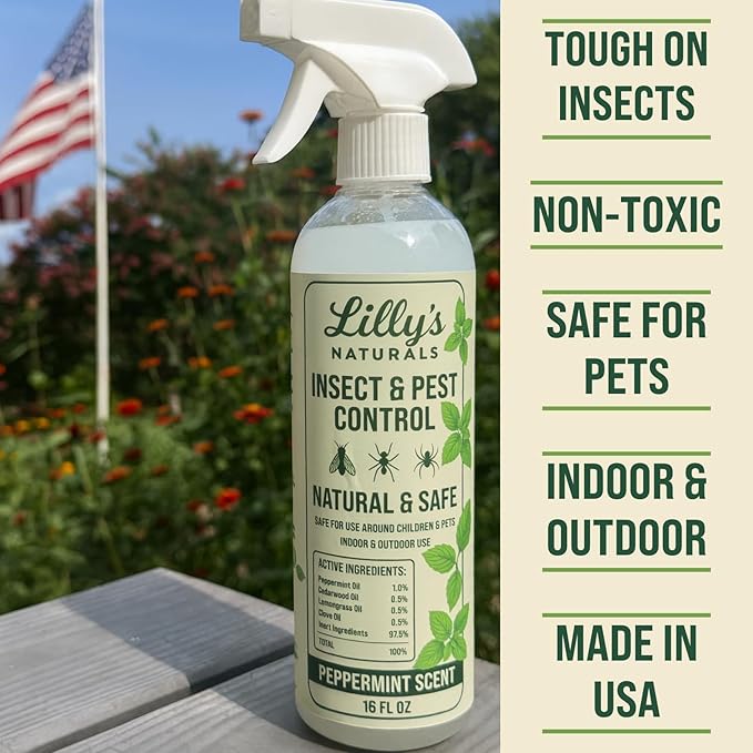 Peppermint Oil Spray for Bugs | Insect Repellent for Indoor & Outdoor Pest Control | Bug, Spider, Rodent, Ant Killer | Natural Plant-Based Pet Friendly Bug Repellent | Lilly's Naturals, 16 oz