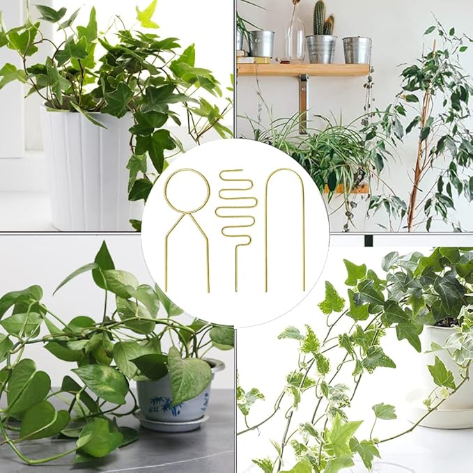 Small Metal Trellis for Potted Plants, 3 Pcs Gold Trellis for Climbing Plants Indoor, Plant Support Stake Mini House Plant Trellis for Hoya, Flower, Pothos, Monstera