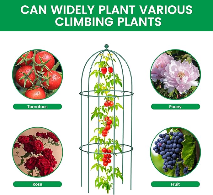 SUNYRISY Metal Garden Arch Trellis for Climbing Plants Outdoor, 15.7" x 31.5" Tomato Cage Obelisk Trellis for Flowers Cucumber Rose Vegetable Support