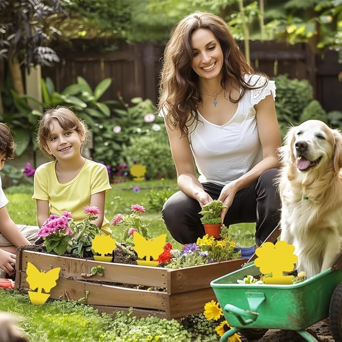 60 Pcs Classic Sticky Traps for Fungus Gnat (Plants), Fruit Fly, Whitefly, and Fly, Yellow Sticky Insect Catcher Traps for Indoor/Outdoor, Kitchen, and Plants, High-End Glue, Non-Toxic, 4 Shapes