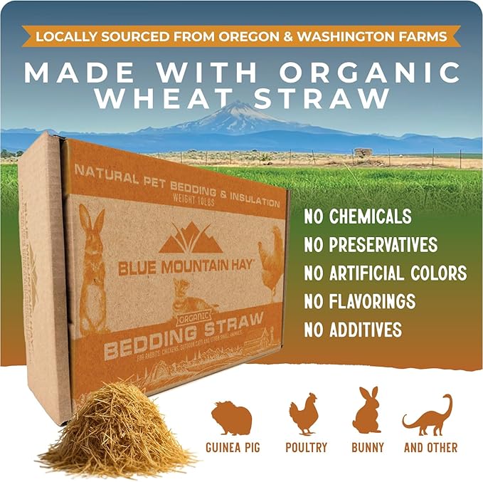Blue Mountain Hay | Organic Bedding Straw (10 lb) | Natural Pet Bedding & Insulation for Rabbits, Guinea Pigs, Goats, Chickens, Stray & Feral Cats, and Small Animal Shelters