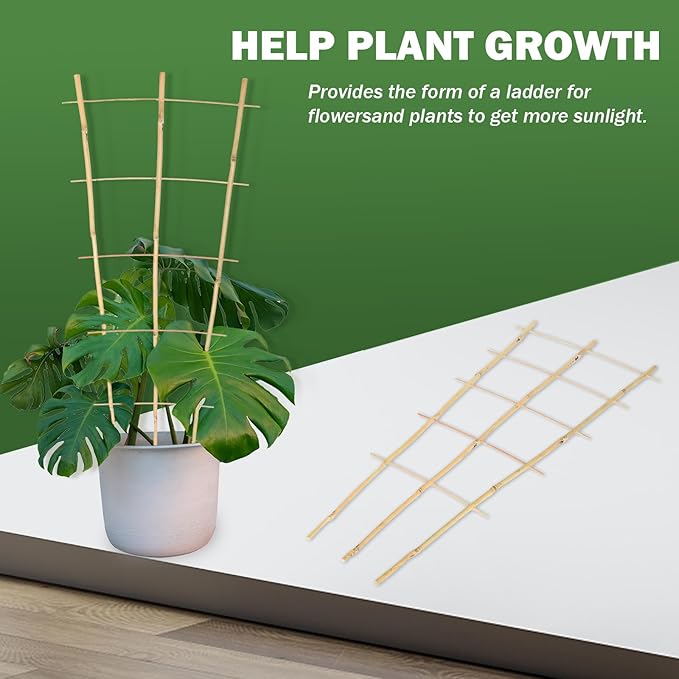 3PCS Fan-Shaped Bamboo Trellis, 2Ft Plant Trellis Indoor, Small Trellis for Potted Plants Indoor, Climbing Plants, Vegetables
