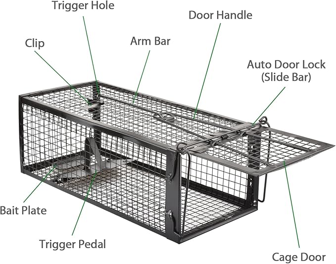2-Pack Rat Traps Humane Live Mouse Vole Chipmunk Trap Cage for Indoors and Outdoors (Black)