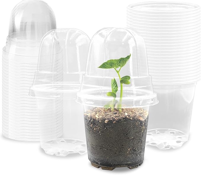 Transparent Nursery Pots 3.5Inch with Humidity Domes for Seeds Starting, Clear Plastic Plant Pots with Drainage Holes (3.54Inch, 40Pcs,Clear Pots with Lids)