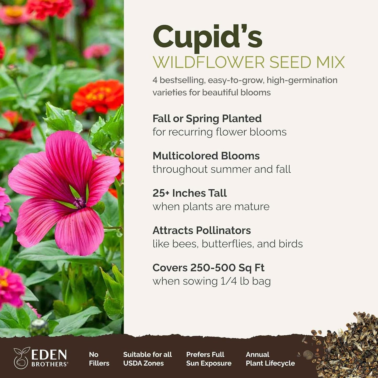 Eden Brothers Cupid's Flower Seed Mixed Seeds for Planting, 1/4 lb, 120,000+ Seeds with Malop Vulcan, Zinnia | Attracts Pollinators, Plant in Spring, Zones 2, 3, 4, 5, 6, 7, 8, 9, 10