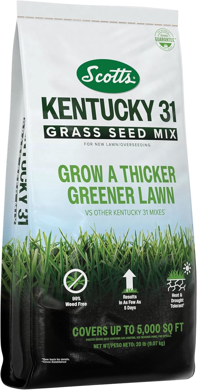 Scotts® Kentucky 31 Grass Seed Mix, for New Lawns or Overseeding, Results in as Few as 5 Days, 20 lbs.