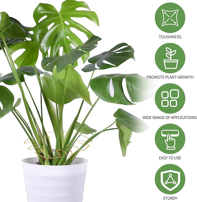 Spiritlele 5 Pcs Gold Plant Stem Support Holder Set Monstera Plant Support Clamp Growth Accessories for Indoor Plants Small