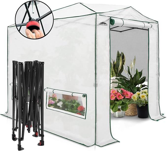 EAGLE PEAK Instant Pop-up Greenhouse, Indoor Outdoor Plant Gardening Green House, Roll-Up Zipper Doors and Side Windows, Heavy Duty Walk in 8x6 ft, Woven PE Top, White