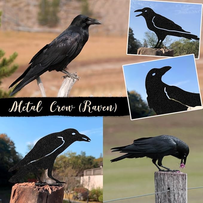 Raven Decor,Metal Birds Black Bird Crow Statue,Raven Statue Fence Topper Fake Crow,Crow Decor Garden Ornament Fence Topper Gothic Home,Crow Decor,Witchy Garden Decor,Halloween Decorations