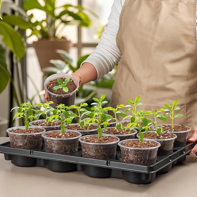 12 Cell Nursery Pot Trays 5 Pack with 4 Inch Clear Plant Pots 60 Pack, Thick Sturdy Seeds Starting Germination Shuttle Carrying Trays, Black Small Planter Nursery Propagation 5 Sets