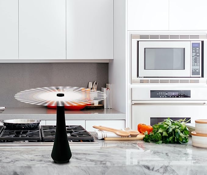 Fly Swatter for Outside or Inside Meal, Picnic Fan for Table Use, Fly Fans for Tables, Barbeque, Events, Battery Operated Food Spinning Fan