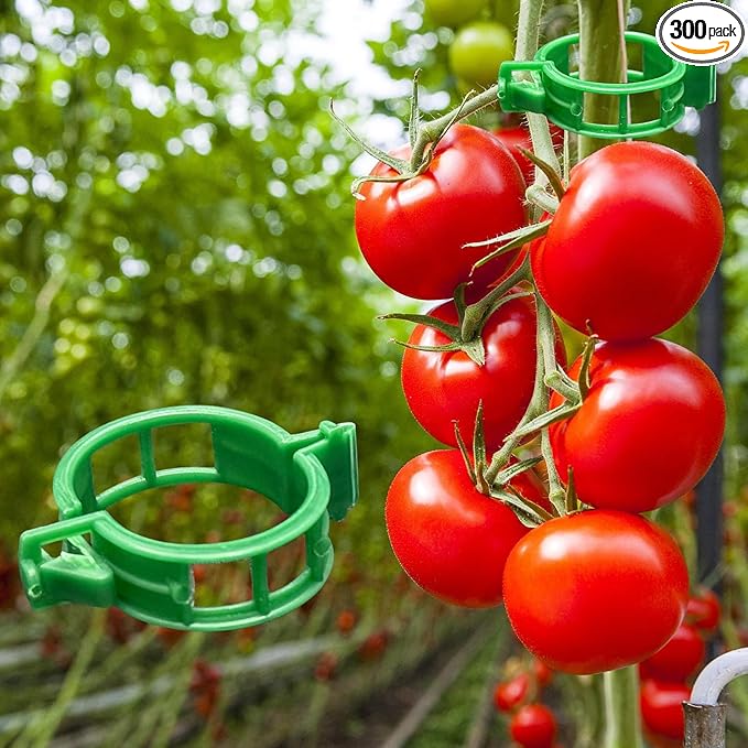 Dalzom® 300Pcs Tomato Clips, Plastic Trellis Clips Plant Support Clips, Plant Clips for Support, Grape Vine, Tomato Vine, Vegetables Plants, Garden Clips to Grow Upright Makes Plants Healthier (Green)