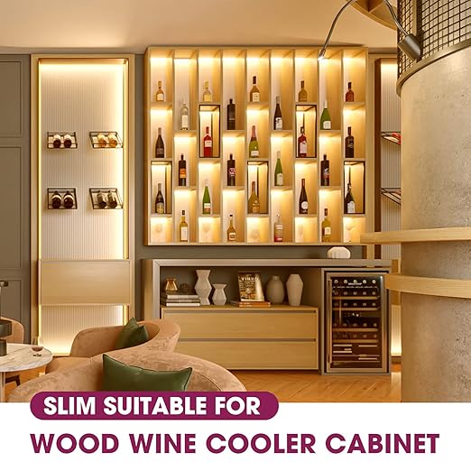 EMITEVER 60W Slim Triac Dimmable LED Driver,100-277V AC to 24V DC Power Supply,0-100% Dimming Transformer for LED Lights,Compatible with Lutron and Leviton Dimmers,Class 2,UL Listed