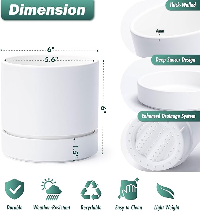 Phoenix Vine 6 Inch Planter Pot with Drainage Hole & Saucer, Deep Water Catch Tray, Straight Cylindrical Round Pot for Plants, Matte White, Pack of 2, 23-B-S-2