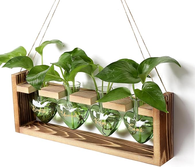 Plants Propagation Stations Plant Terrarium Kit for Bathroom Glass Planters for Indoor Plants Bathroom Decor Accessories - Relax Soak Unwind Breathe