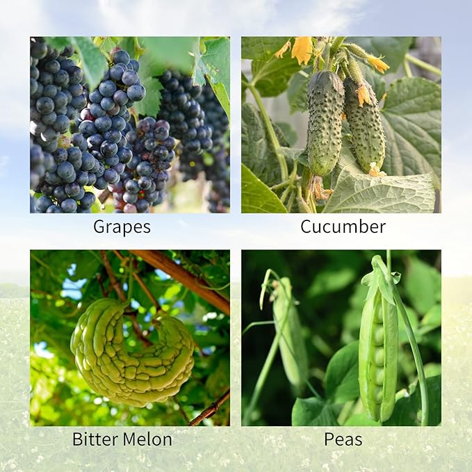 Cucumber Trellis 2 Pack, Foldable A-Frame Garden Trellis for Raised Bed Garden Grow Support with Plant Support Clips, Twist Ties, Plastic Ties, for Cucumber,Tomato, Climbing Plants and Flowers