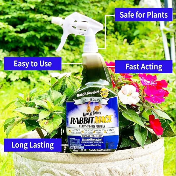 Nature’s Mace Rabbit MACE, Rabbit Deterrent for Yard, Rabbit Repellent Outdoor, Mint Scent Rabbit Spray, Garden, Lawn, Keep Rabbits Out, 1 Gallon Ready to Use, Safe Around People, Pets, Plants