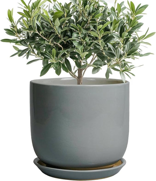 Ceramic Planter for Indoor Outdoor Plants - Cylinder Decorative 8 Inch Plant Pot with Drainage Hole and Saucer, Modern Home Decor, Gray