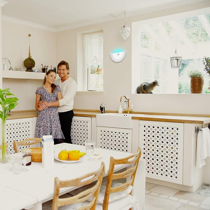 Faicuk FA-FLT07 Wall Sconce Fly Light+Replacement Tube and Holder 2-in-1 for FA-FLT07 (2 Packages are Delivered Separately).