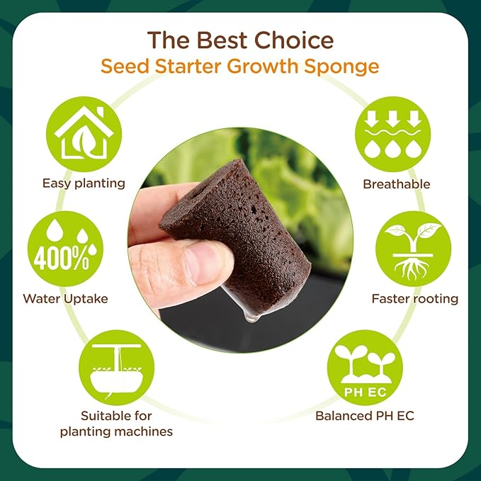 70 Pack Grow Sponges, Starter Plug for Seeds or Cuttings, General Hydroponics Rapid Rooter Plugs for Seedling Herbs Lettuce Vegetable Flower, Great for Soil or Hydroponics Growing System (Cylinder)