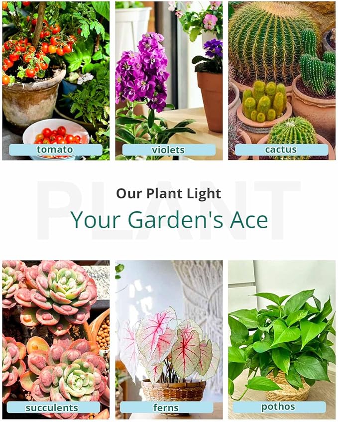 DOMMIA Grow Lights, Grow Lights for Indoor Plants Full Spectrum, Gooseneck Dual Head Clip-on LED Plant Light with 6/12/16h Timer, Multi-Spectrum, Dimmable